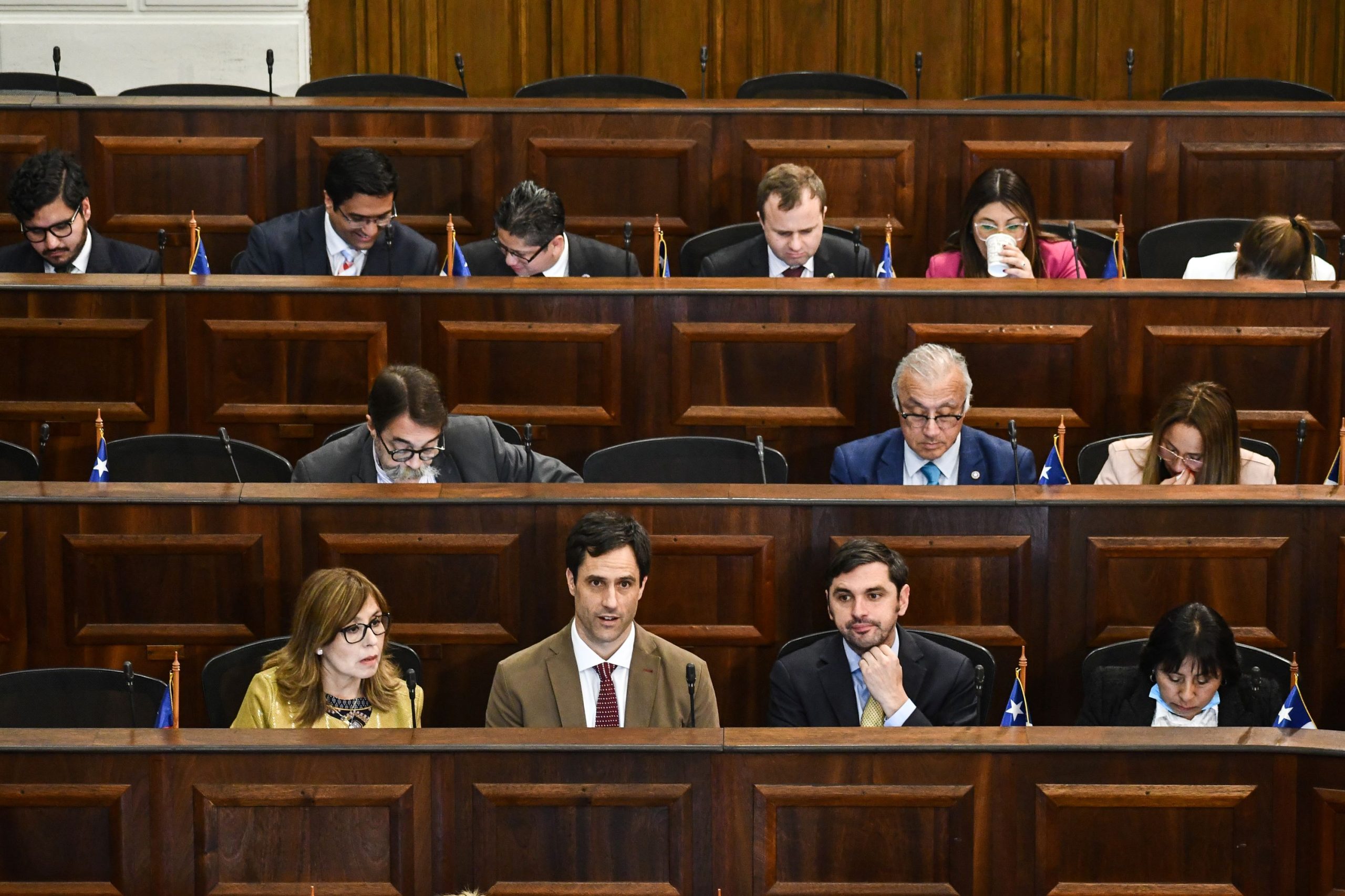 La labor del Consejo Constitucional